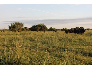 Tract 6 - LAND AUCTION - 440+/- Acres offered in 15 Tracts in Tulsa County